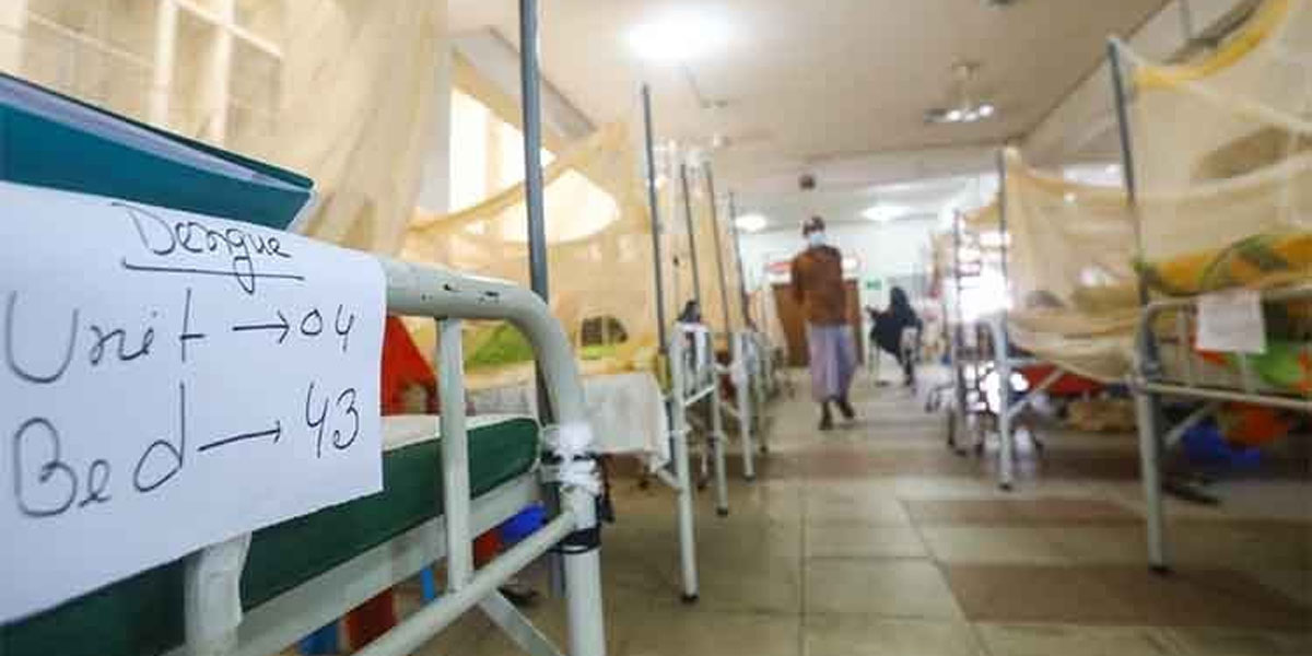 Dengue claims 14 lives in 24hrs