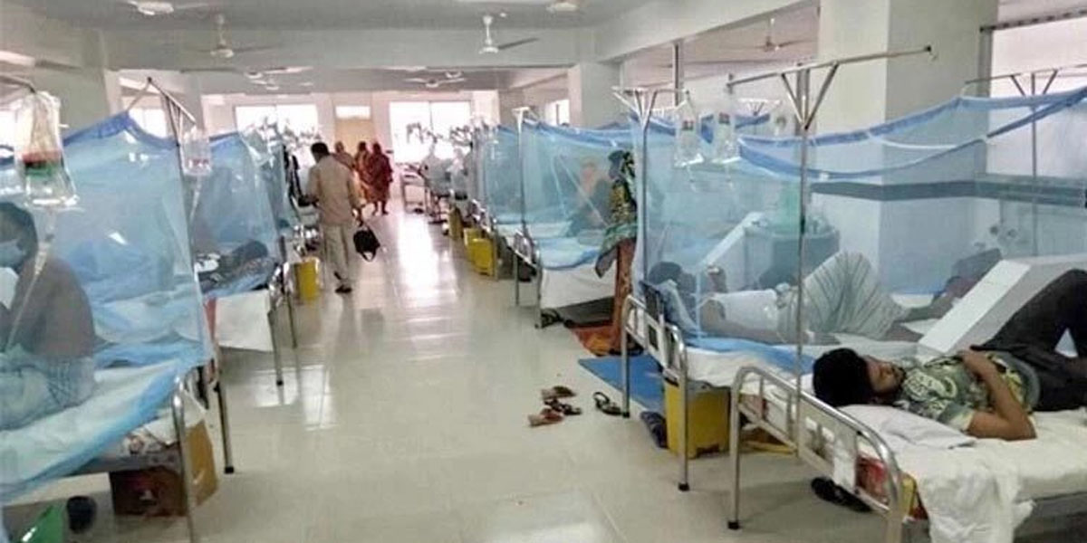 Dengue death toll rises to 1006 as 17 more die in 24hrs