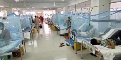 Dengue death toll rises to 1006 as 17 more die in 24hrs