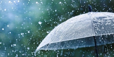 Light to moderate rain likely over country