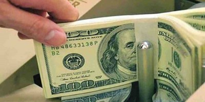 Forex reserves fall below $20 billion