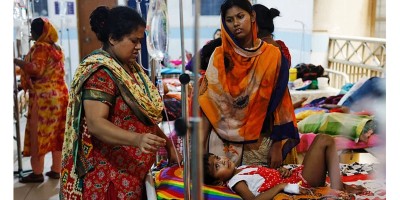 Dengue death toll rises to 1,449 as 17 more die in 24hrs