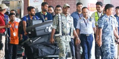 Tigers return home after 'disappointing' World Cup