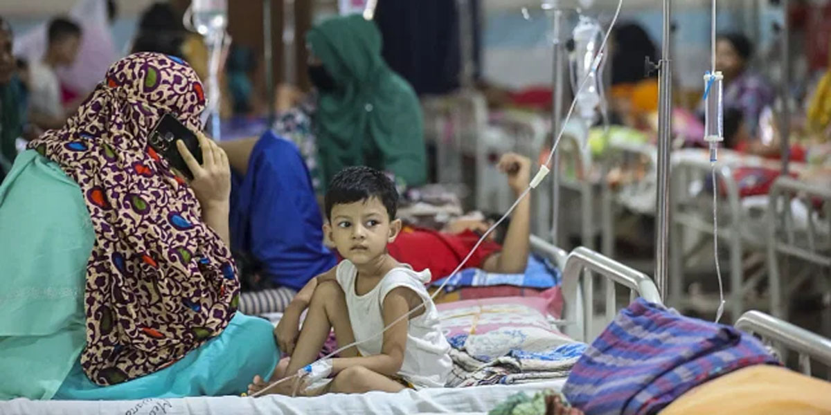 Eight more dengue patients die, 1,084 hospitalised in 24hrs