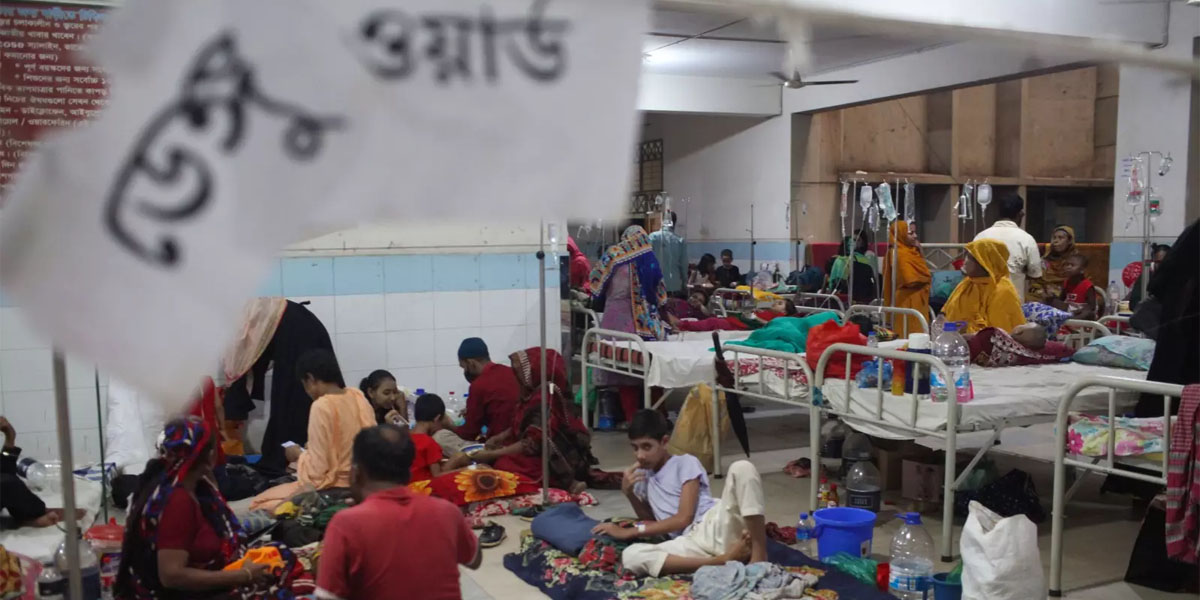 Seven more dengue patients die in 24hrs