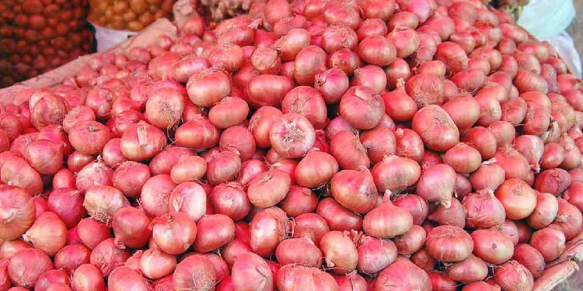 Onion prices go up by Tk 50-60 per kg in Khulna as India bans export