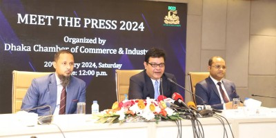 Bangladesh will overcome economic challenges: DCCI President