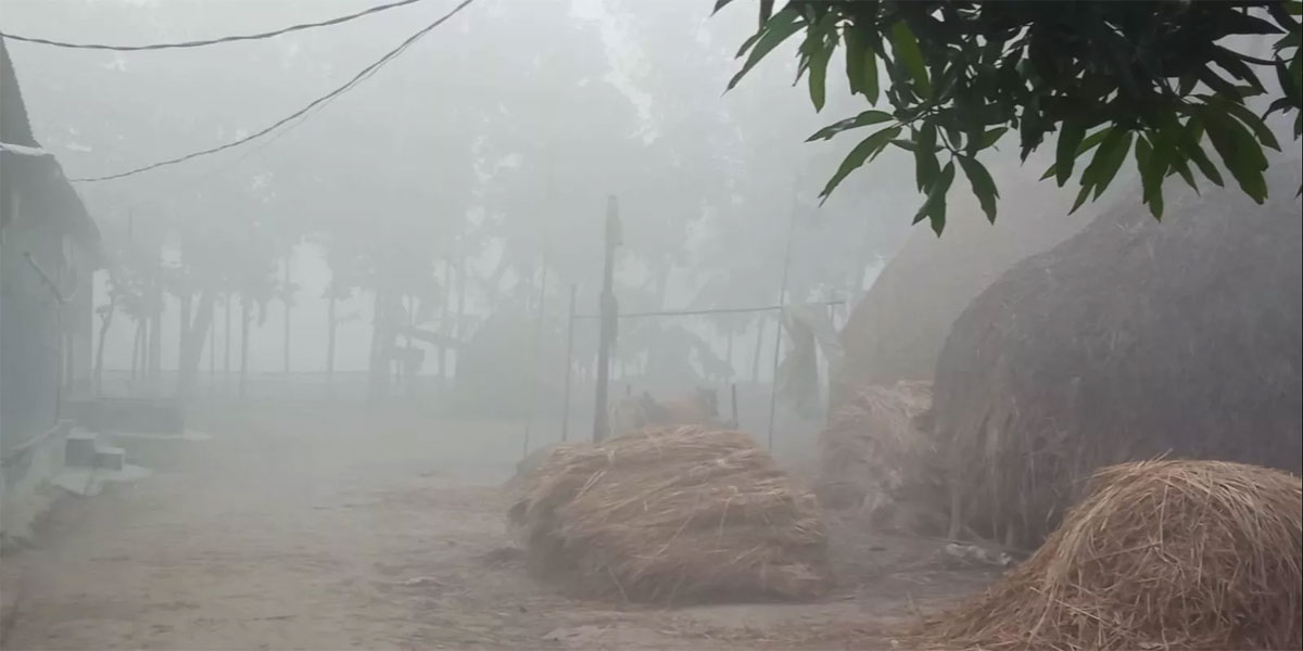 Dhaka among four divisions shivering in cold wave conditions