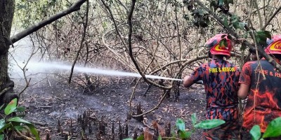 Sundarbans fire contained after nearly 30 hours