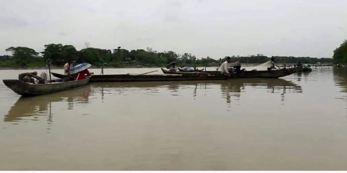 Fish and dolphin fatalities in Halda River spark concerns