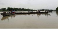 Fish and dolphin fatalities in Halda River spark concerns