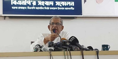 Movement won’t end without political solution: Mirza Fakhrul