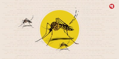 Three more dengue patients die in 24hrs