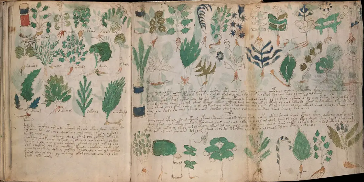 The mysterious book that no one has been able to read to this day