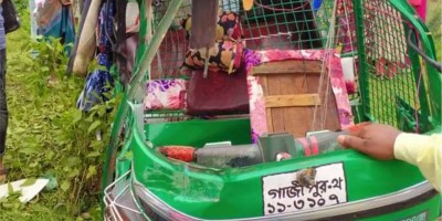 3 killed, 1 injured in Gazipur road crash