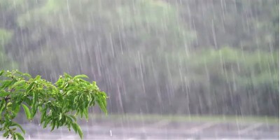 Rain with temporary gusty or squally wind likely: BMD