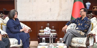 Pakistan foreign secretary calls on foreign adviser
