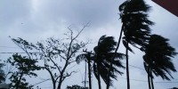 Rain with temporary gusty wind likely at some districts