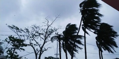 Rain with temporary gusty wind likely at some districts