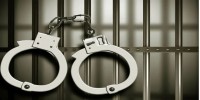 DB crackdown against AL's 'flash processions' nabs 56 leaders, activists