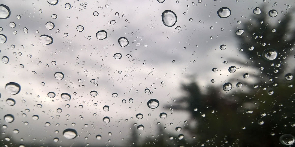 Rain or thundershowers likely