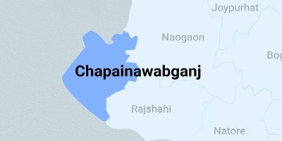 BSF pushes 8 people across Bholahat border into Chapainawabganj