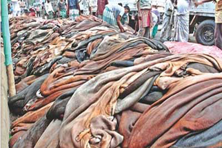 Rawhide market disappoints again as prices fail to cross Tk 1,000 mark