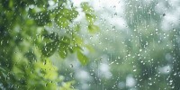 Light to moderate rain likely in parts of country: BMD