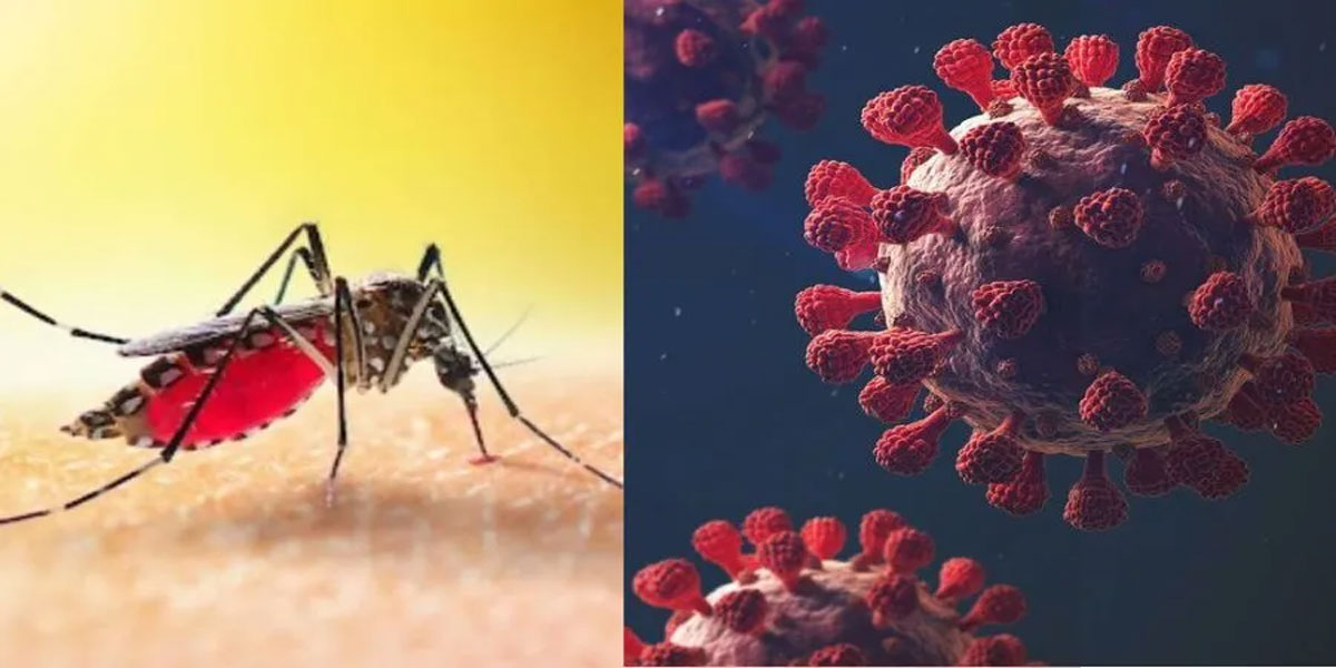 BMU sounds alarm as Covid, Dengue cases surge, urges scientific response