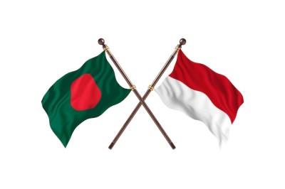 Indonesia keen to import Bangladesh's jute, jute goods: Envoy