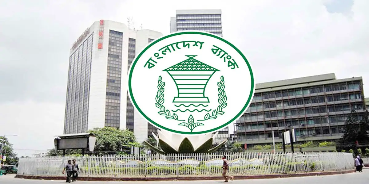 Record remittance inflow boosts forex reserves