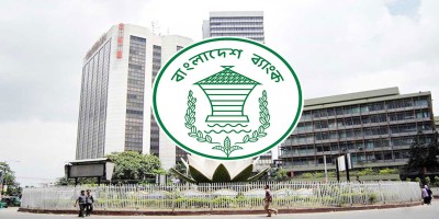 Record remittance inflow boosts forex reserves