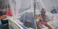 Nature of dengue changed, intensive care needed for patients: DG Health