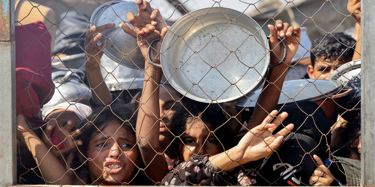 'They're starving': 21 children dead from malnutrition in Gaza, says hospital head