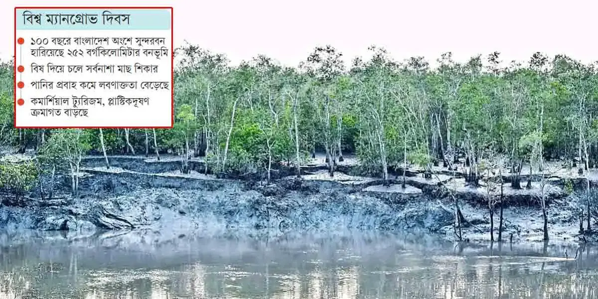 World Mangrove Day: Biodiversity of Sundarbans at risk