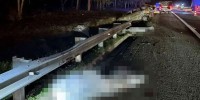 3 Bangladeshis killed, 2 others injured in Malaysia road crash