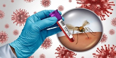 3 more die of dengue, 319 hospitalised in 24 hrs: DGHS