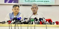 BNP welcomes February election plan