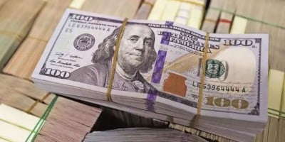 Purchasing more dollars from the market causes risk of high inflation