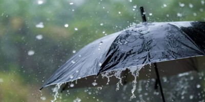 Light to moderate rain, thundershowers likely in parts of country