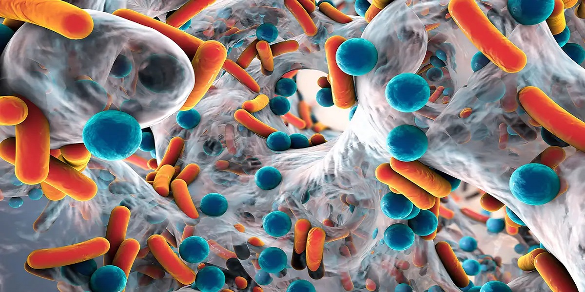 Spread of drug-resistant superbugs surging, WHO warns