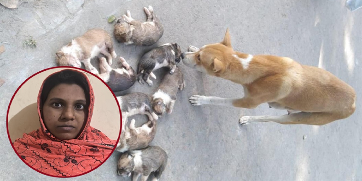 Woman arrested over drowning of 8 puppies in Ishwardi