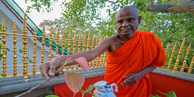 Top Sri Lankan Buddhist monk held over alleged sexual abuse of 11-year-old girl