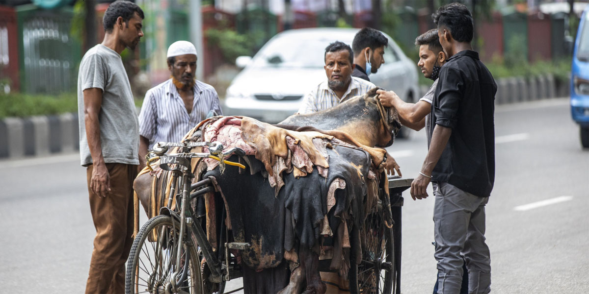 Govt fixes rawhide prices ahead of Eid-ul-Azha
