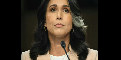 Trump's intelligence chief Tulsi Gabbard resigns