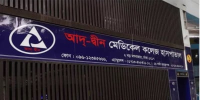 Ad-Din Hospital sued over 'negligent deaths' of six newborns