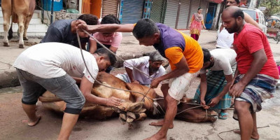 Animal sacrifice continues on second day of Eid-ul-Azha