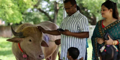 Buffalo named after Trump now drawing Eid crowds at National Zoo