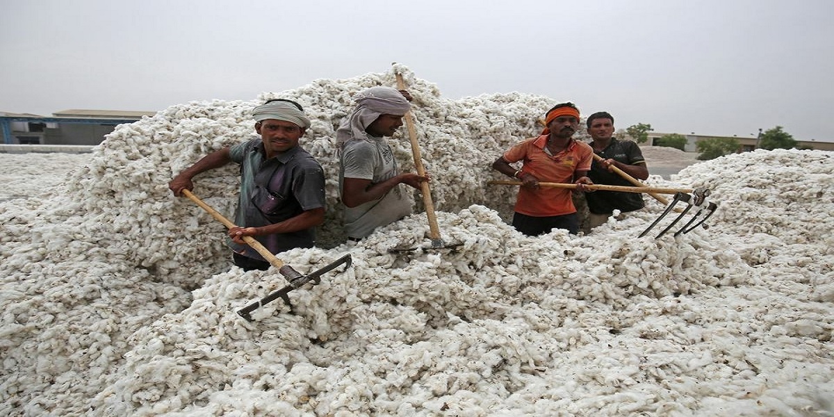 India scraps cotton import duty for five months to aid textile exporters