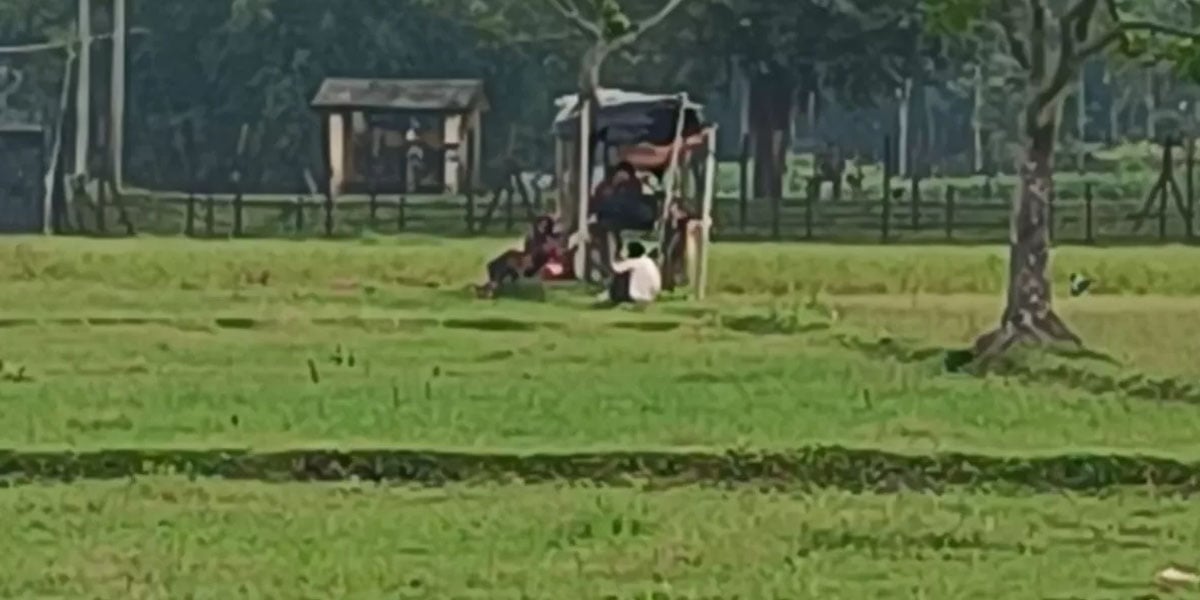 BGB foils push-in of 33 through Lalmonirhat border